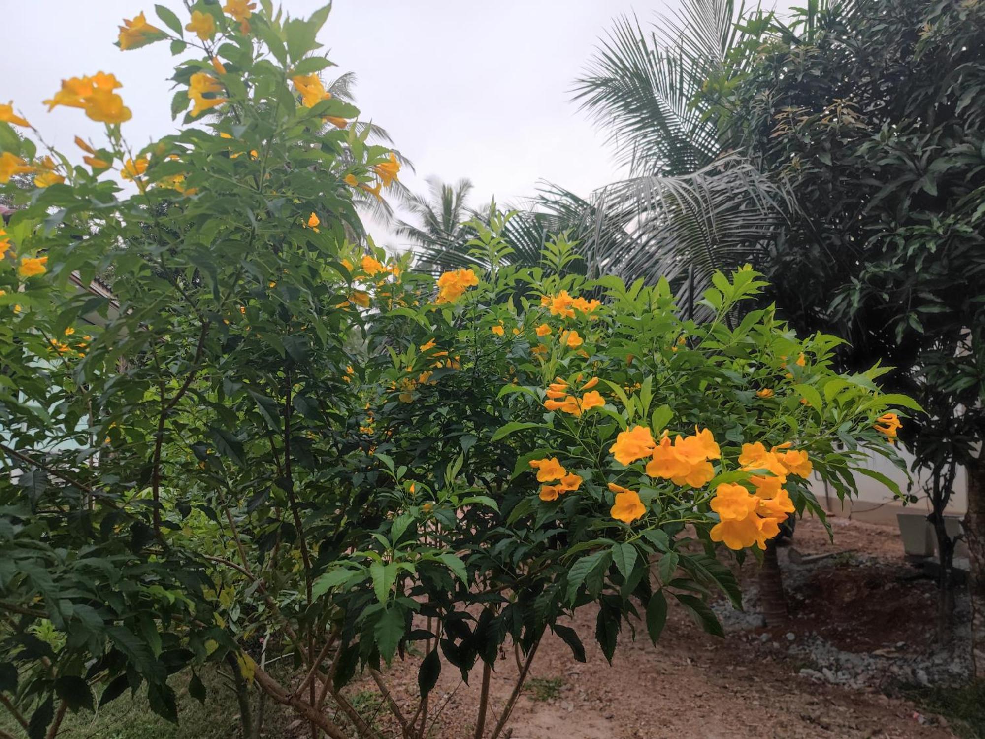The Secret Garden Homestay Koh Yao Yai Ko Yao Buitenkant foto