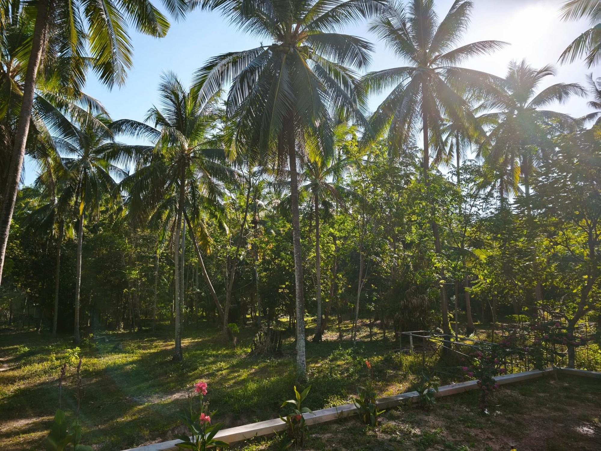 The Secret Garden Homestay Koh Yao Yai Ko Yao Buitenkant foto