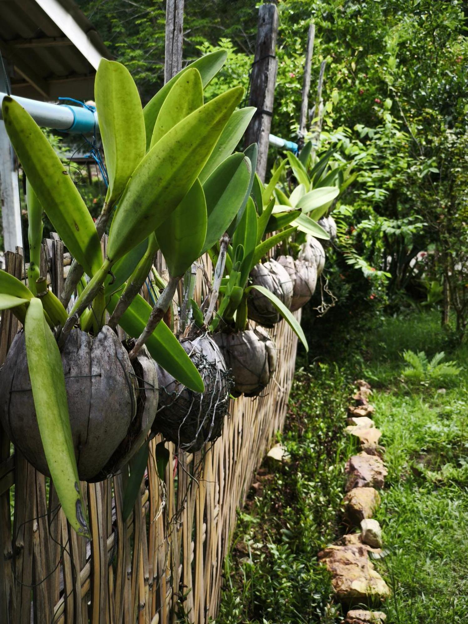 The Secret Garden Homestay Koh Yao Yai Ko Yao Buitenkant foto